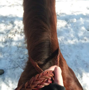 Meet your Posher, Isabella